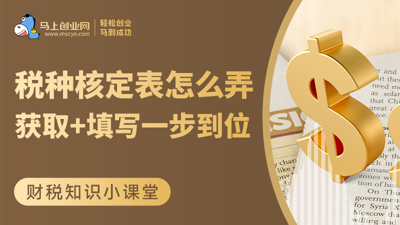 税种核定表怎么弄？获取+填写一步到位