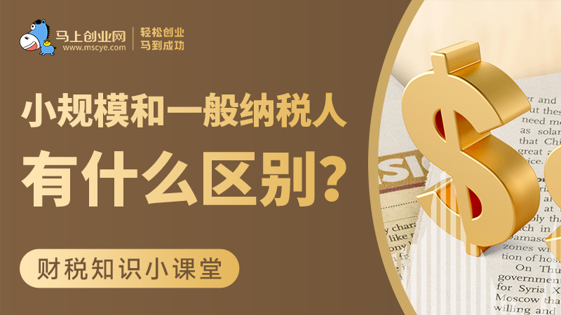 小规模和一般纳税人究竟有什么区别？
